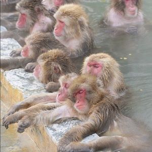 Meet your Posher, Jan